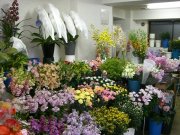 「佐久間生花店」　（東京都板橋区）の花屋店舗写真1