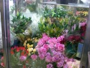 「佐久間生花店」　（東京都板橋区）の花屋店舗写真2